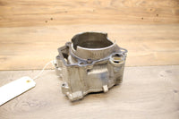 01-06 2006 06 Yamaha WR450F WR450 CYLINDER JUG W PISTON *GOOD